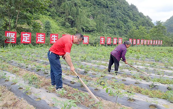 石柱鄉領導團隊引領鄉村發展新篇章開啟