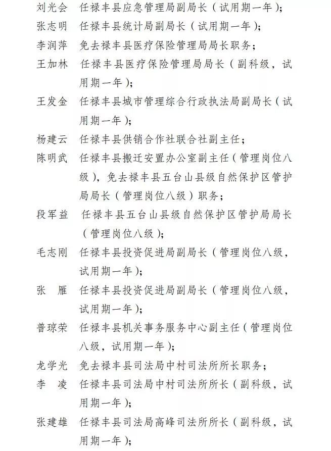 祿豐縣體育局人事調整，構建新篇章，體育事業迎來新發展