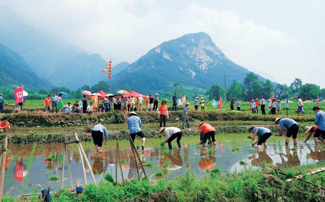 廬山區住房和城鄉建設局最新發展規劃概覽