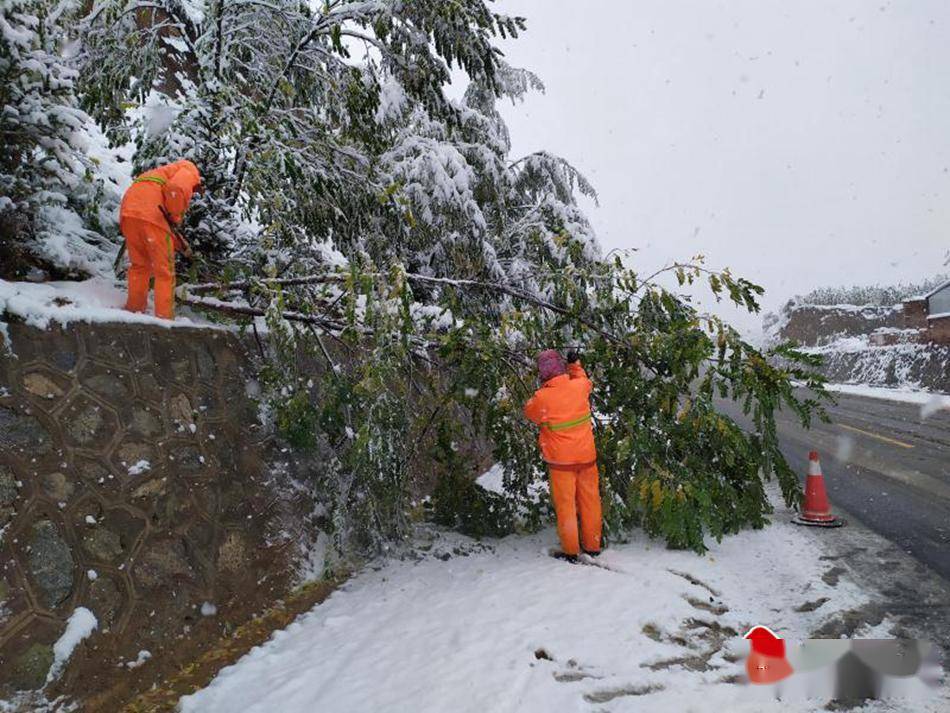 張家川鎮天氣預報更新通知