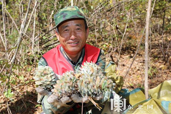 樂業縣交通運輸局最新動態報道