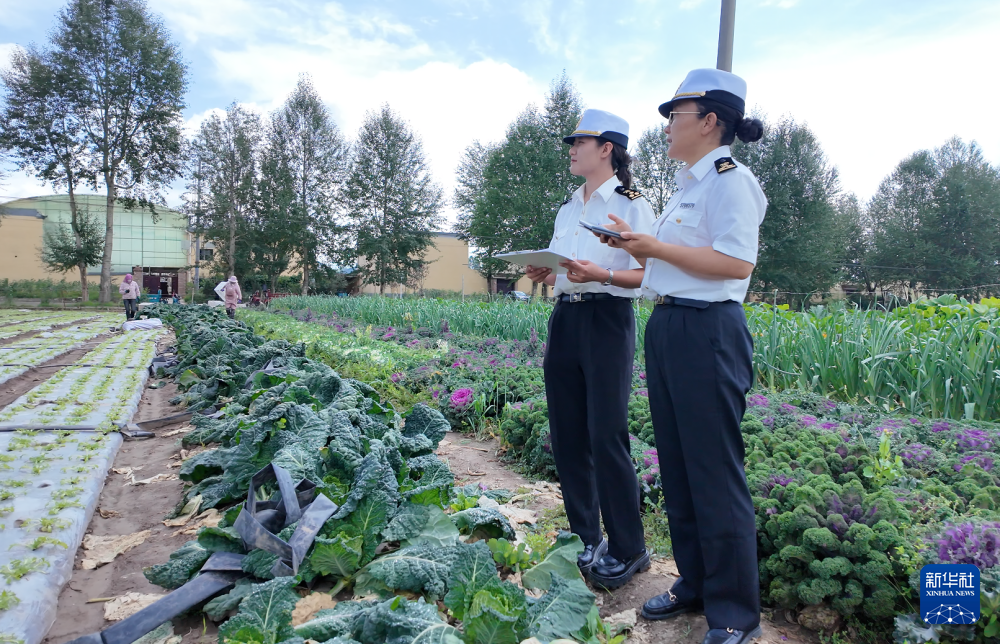 塘巴村最新新聞報道概覽