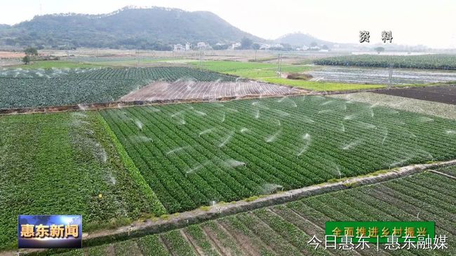 惠東縣農業農村局最新發展規劃概覽