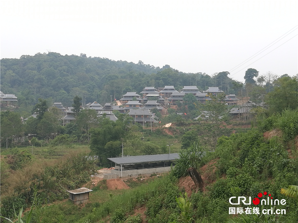 納麥村新項目，重塑鄉村未來