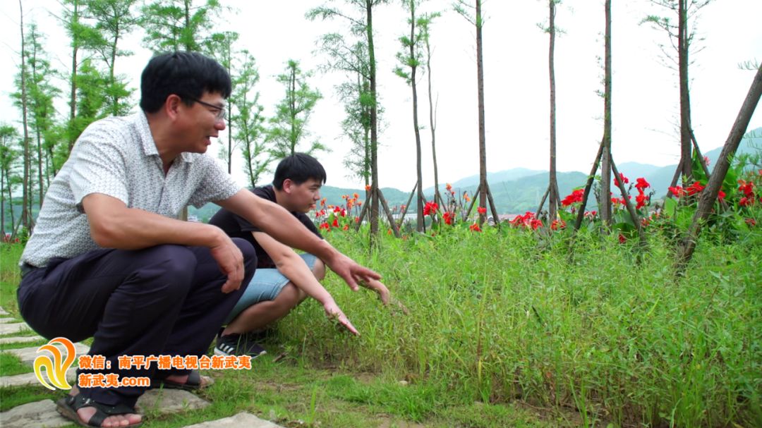 順昌縣水利局新項目，推動地方水資源可持續利用的關鍵行動