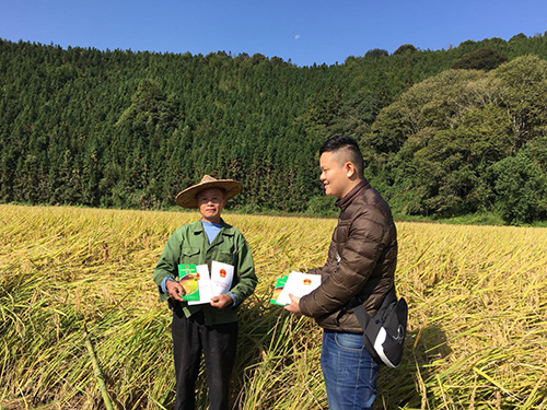 順昌縣水利局新項目，推動地方水資源可持續利用的關鍵行動