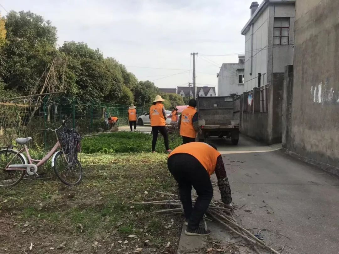 周棚街道新領導團隊引領下的新氣象