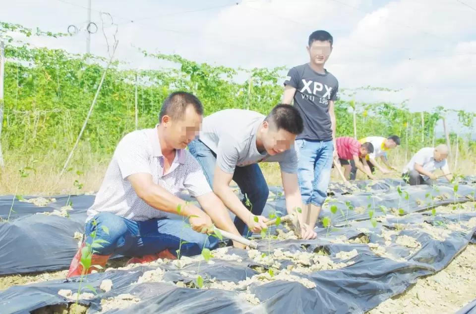 恩平市康復事業單位最新動態報道