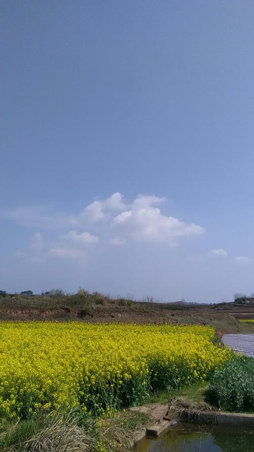 東湖圩鄉天氣預報更新通知