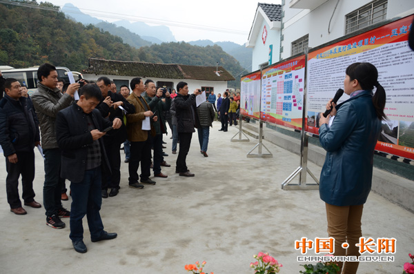 玉寶村委會領導團隊全新亮相，展望未來發展之路