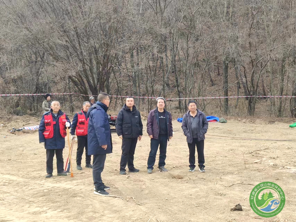 太東林場最新新聞動態報道