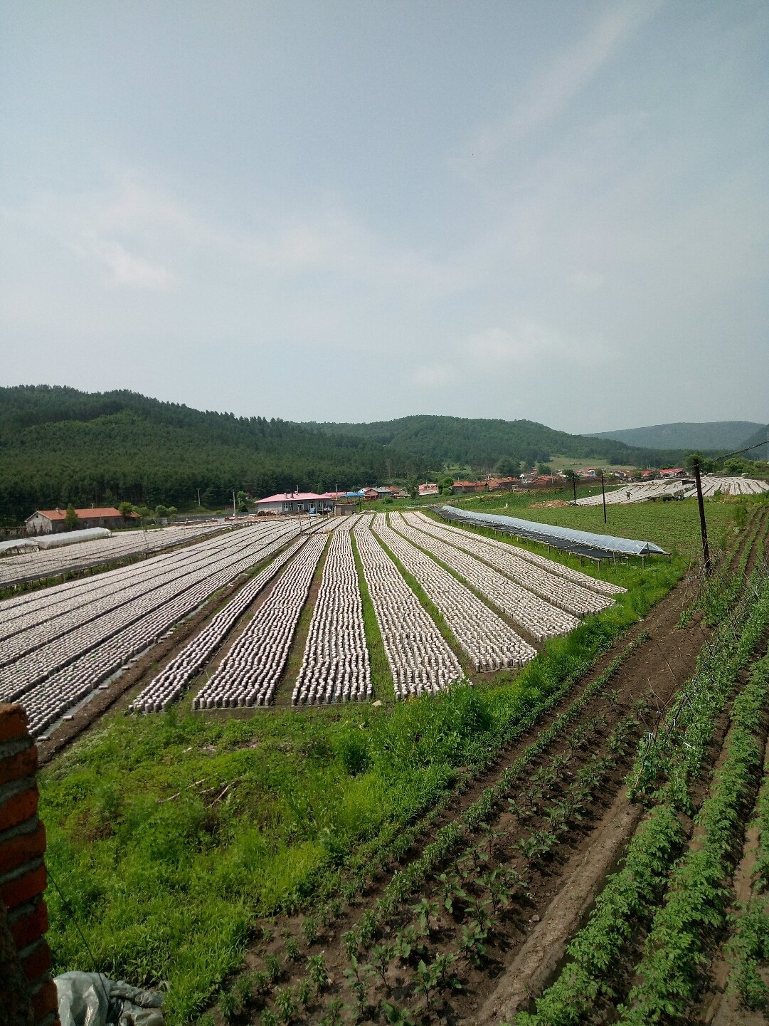 兩家子鎮天氣預報更新通知