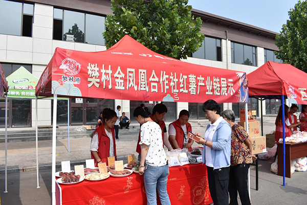 山西省運城市河津市鄉鎮交通建設取得顯著進展，助力地方經濟騰飛，最新交通新聞發布