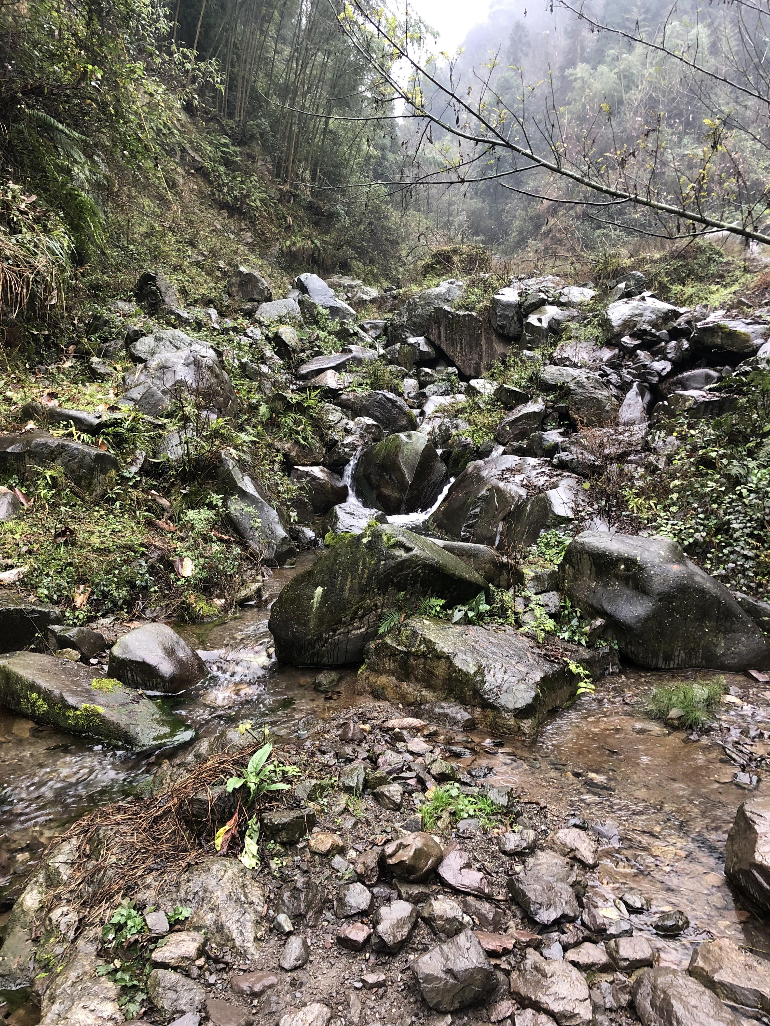 中小鎮最新天氣預報概覽