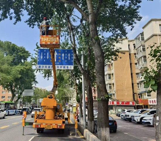 樹苴鄉城區街道最新招聘信息匯總