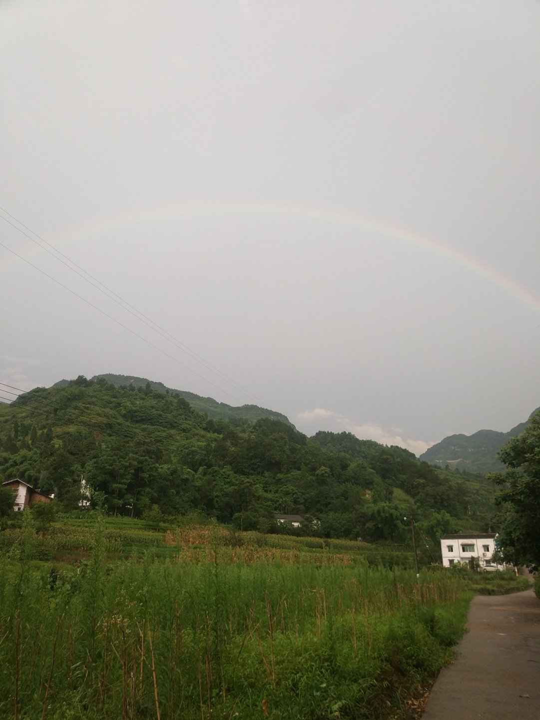 永新鎮天氣預報更新通知