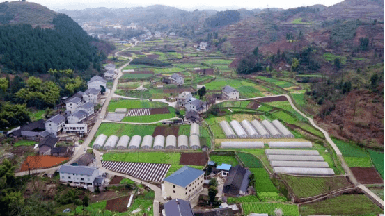 倉康村新項目引領鄉村振興，塑造美好未來愿景