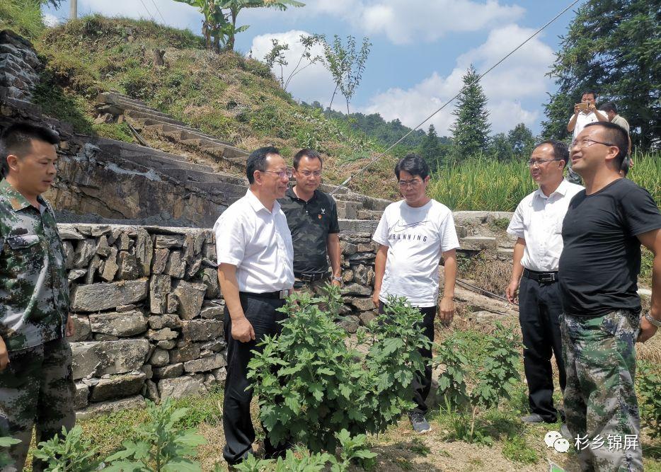 大同縣民政局最新項目推動社區發展，提升民生福祉