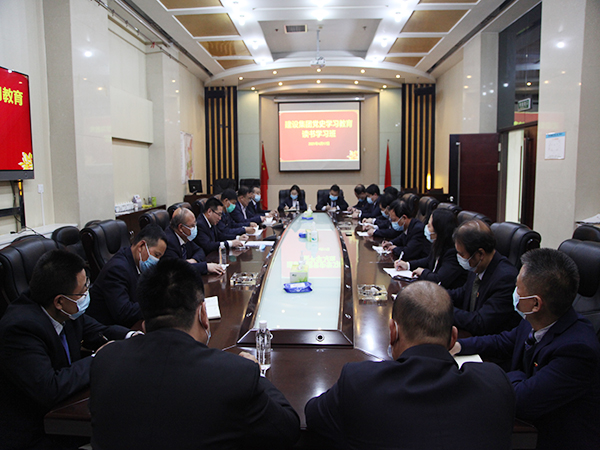 鼎湖區發展和改革局助力打造繁榮鼎湖，推動區域經濟發展新動態