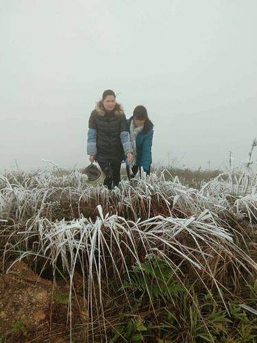 大山鄉最新天氣預報通知