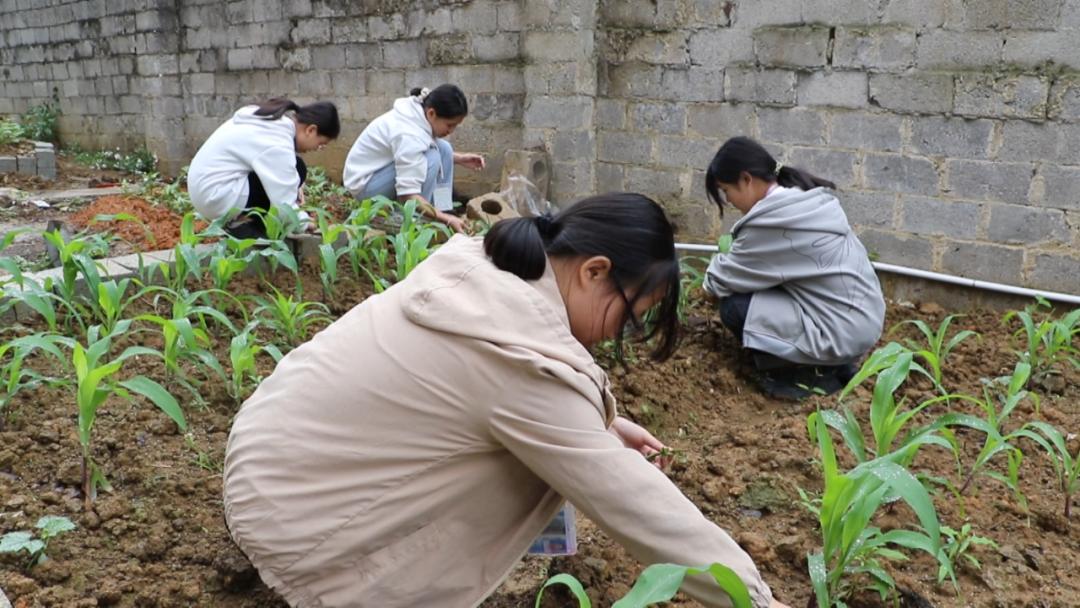 觀里鎮領導團隊最新概覽