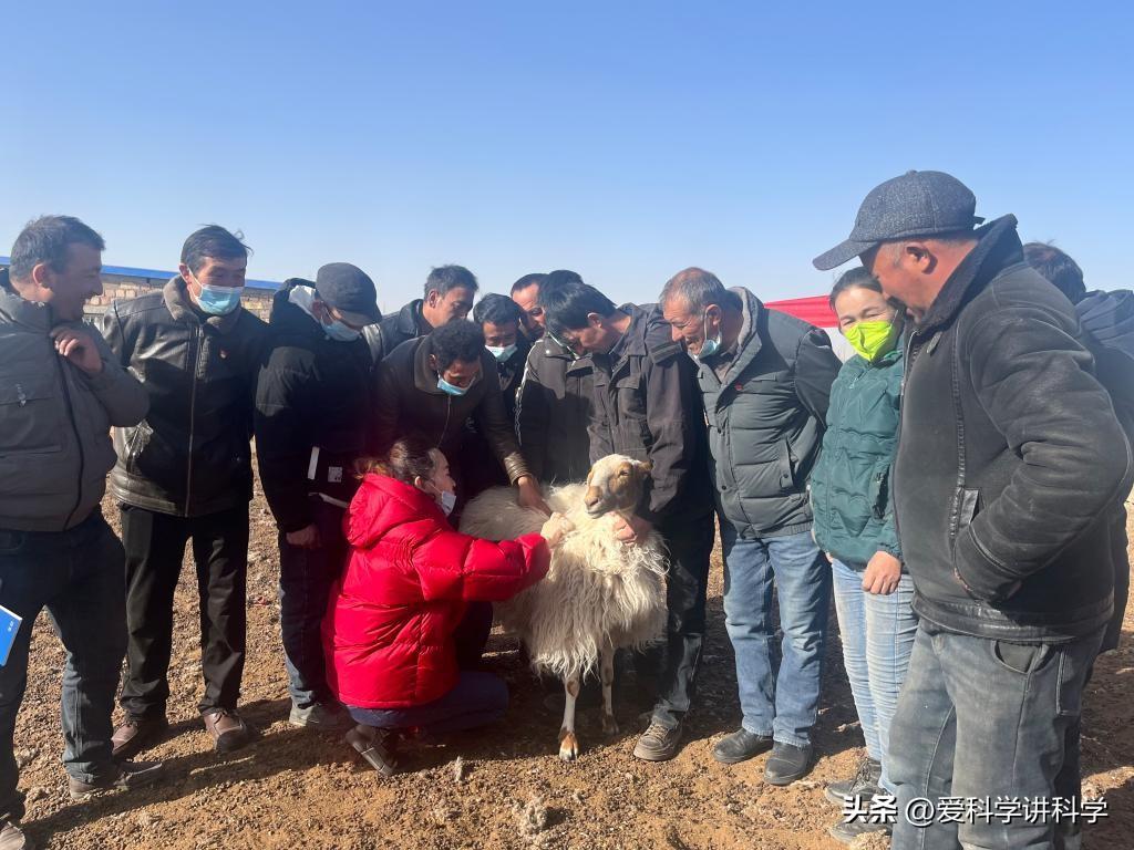 民豐縣科技局領導團隊最新概述