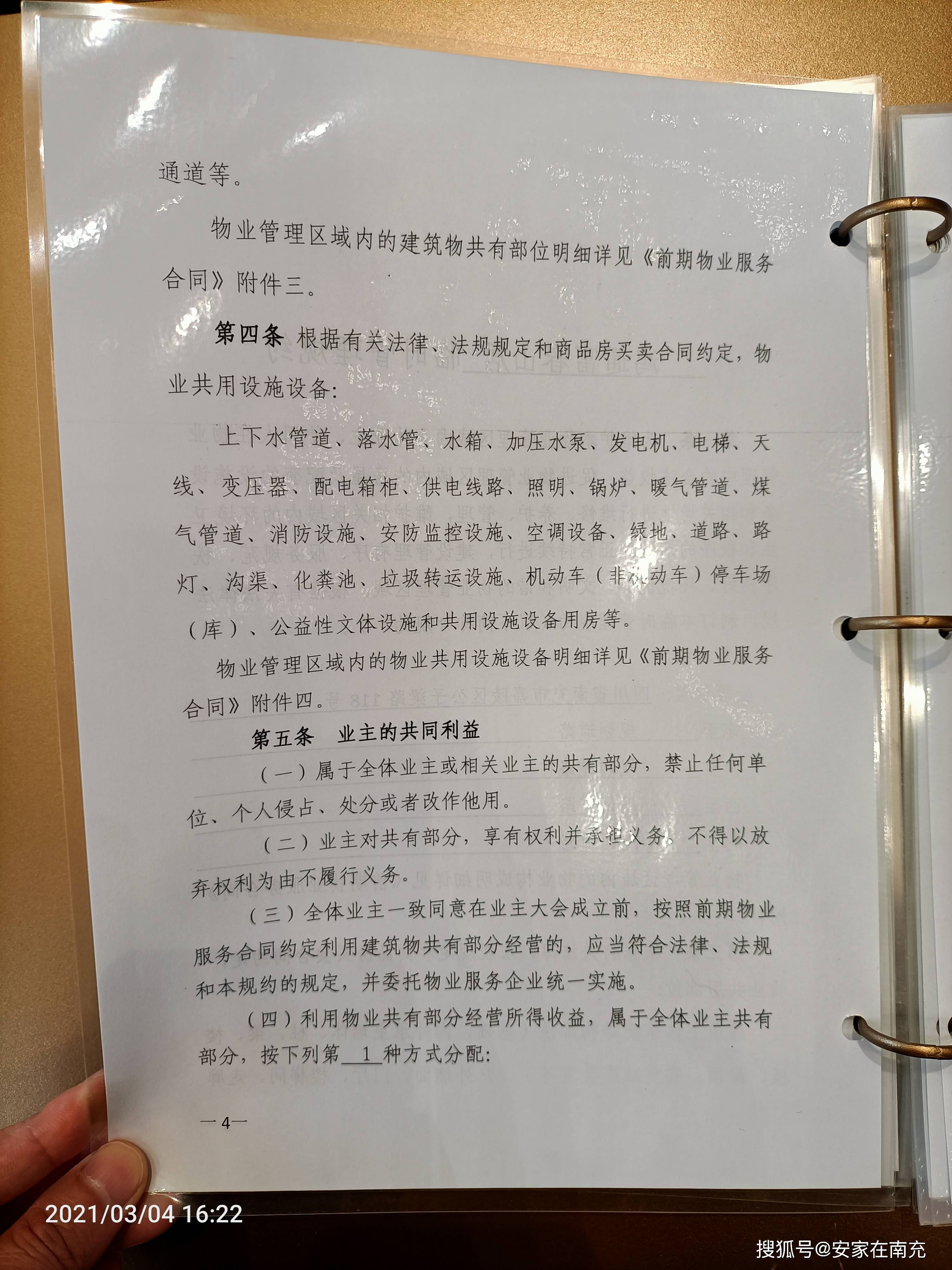 霞山區級托養福利事業單位新項目深度探討