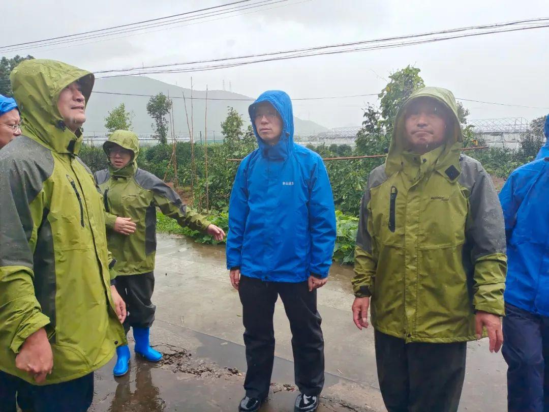 定塘鎮領導團隊引領地方發展新篇章