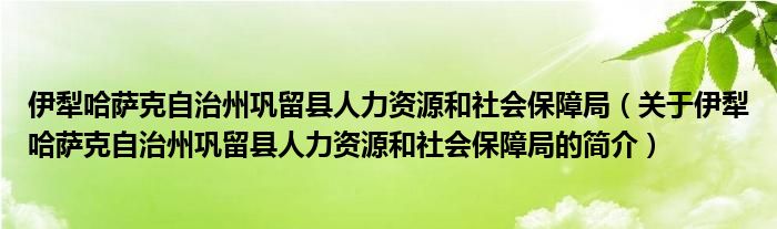 鞏留縣人力資源和社會保障局最新發展規劃概覽