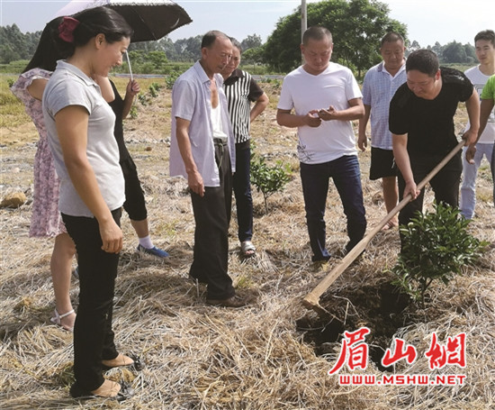 青神縣財政局最新資訊速遞