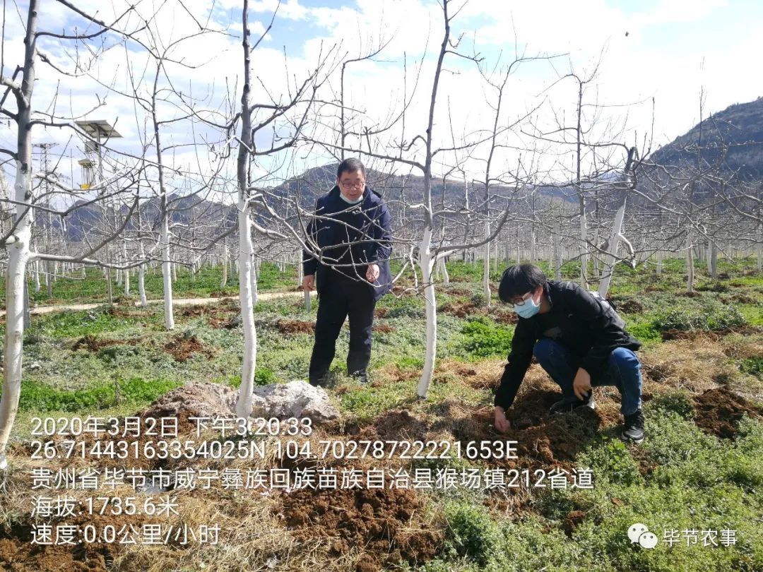 樟樹市農業農村局最新領導團隊及其展望