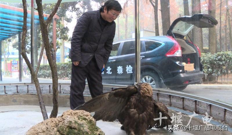 雷波縣康復事業單位最新發展規劃概覽