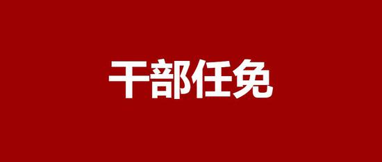 西安市市體育局人事大調整，構建新未來，體育事業迎來新發展