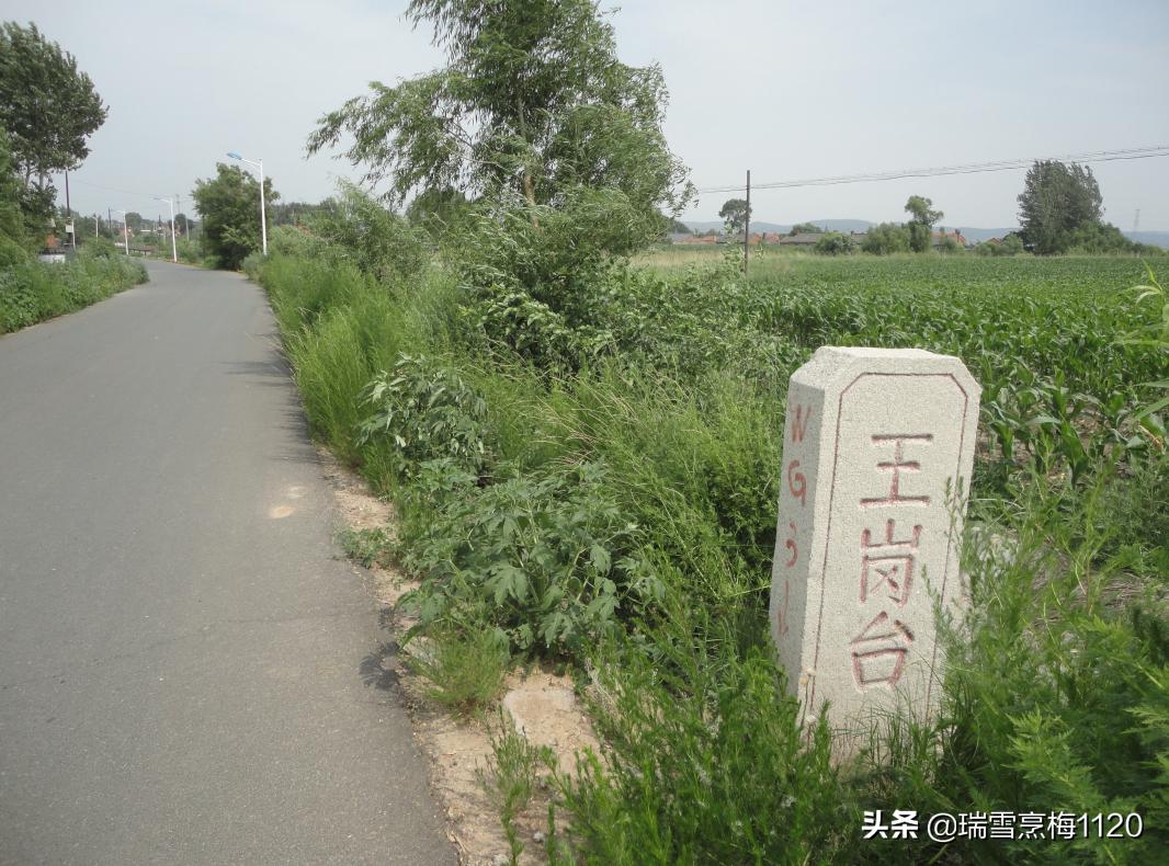 馬剛鄉最新項目，引領鄉村發展的強大引擎