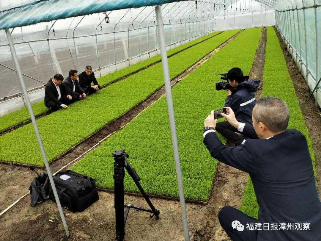 荒田最新項目重塑土地價值，推動可持續發展進程