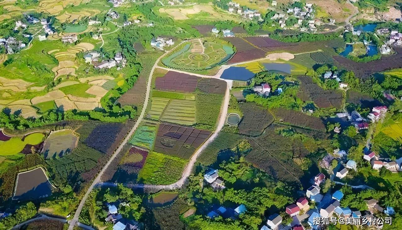 三臺村發展規劃揭秘，走向繁榮與和諧共生之路