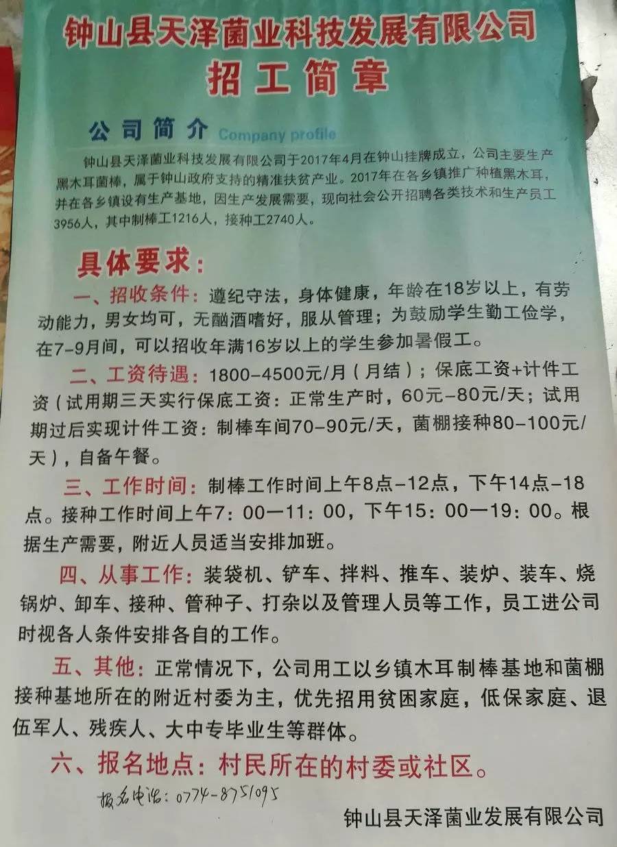 耐莎村最新招聘信息全面解析