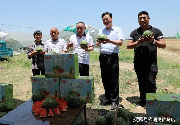 汪家鋪鄉人事任命動態更新