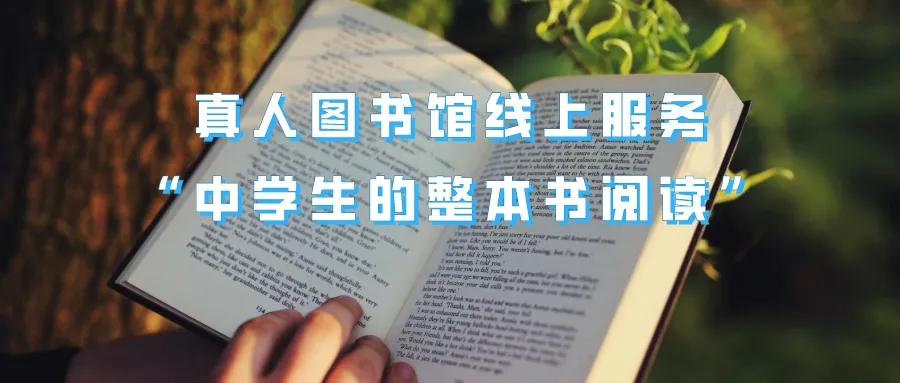 邯鄲市圖書館新項目引領城市文化革新篇章