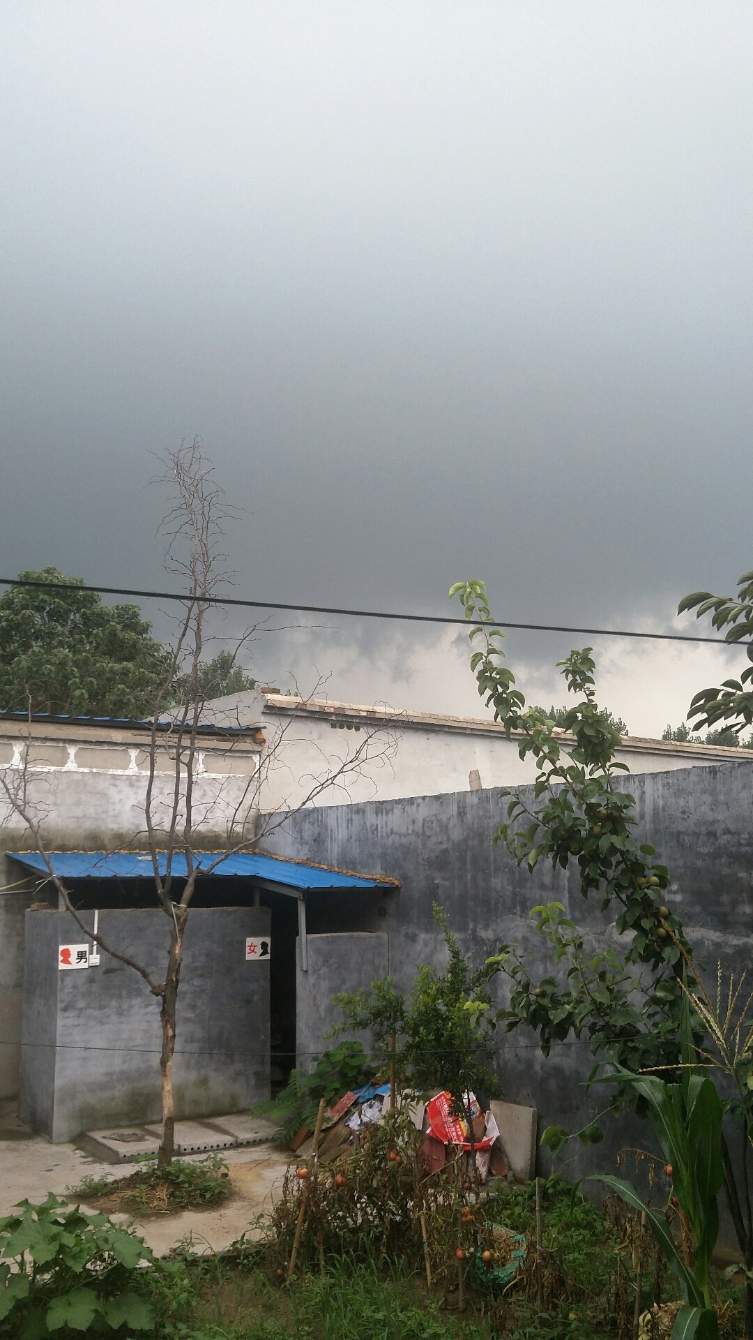 雨佰村民委員會天氣預報更新通知