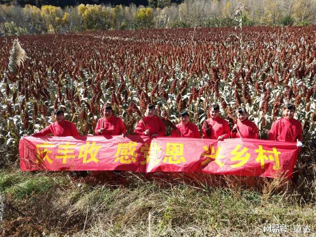 山西省大同市靈丘縣白崖臺鄉交通發展邁入新篇章