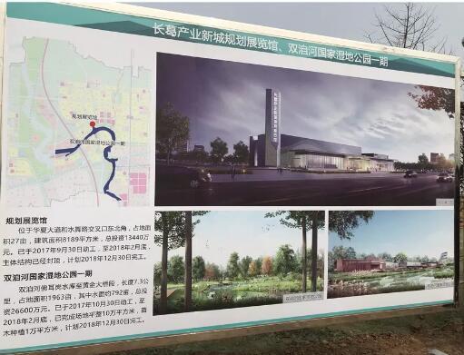 長葛市體育局發展規劃，塑造活力體育，構建健康城市新篇章