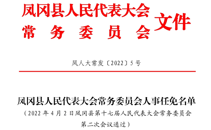 鳳岡縣文化局人事任命推動文化事業邁向新篇章