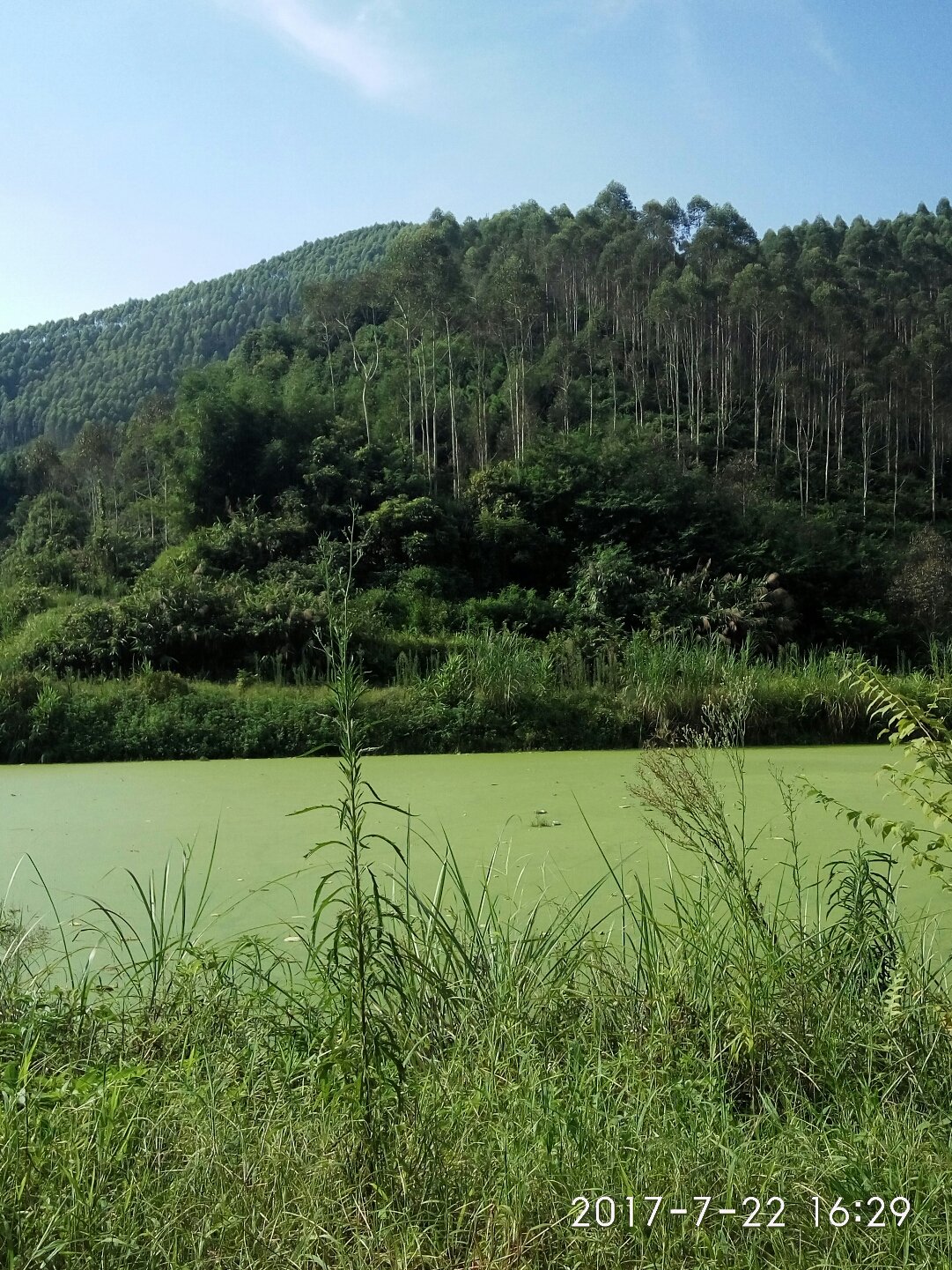 貞山街道天氣預報最新詳解