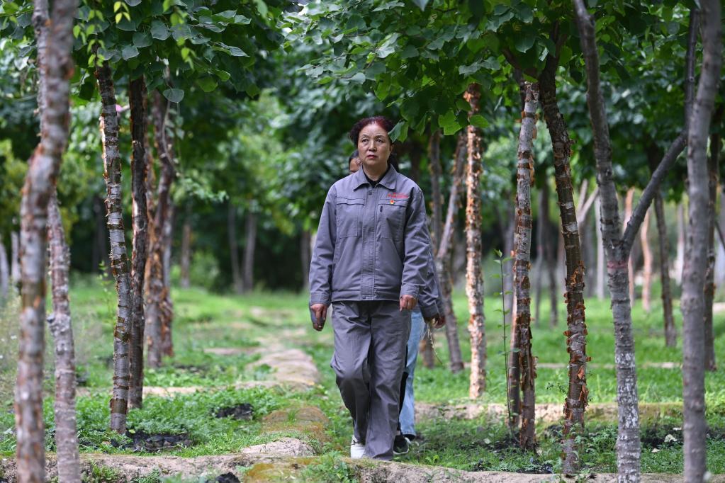 巴隆鄉最新新聞動態