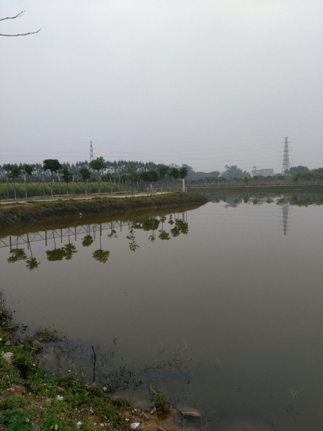 湯坑鎮天氣預報更新通知