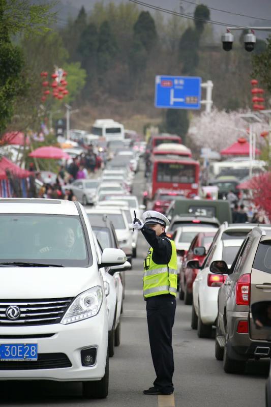 龍泉市交通運輸局最新發展規劃概覽