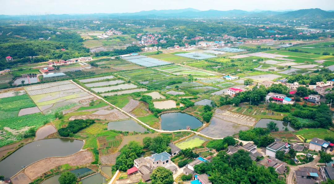 山西省太原市尖草坪區西堰鄉最新新聞概覽